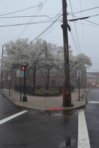 Snapped this one off as I crossed the street while trying not to get hit.  Love how it self framed.